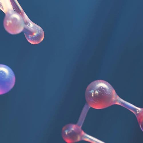 T.N. government enhancing higher education and research: Minister