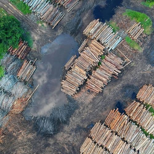 The domino effect that feeds the world (and could collapse it)
