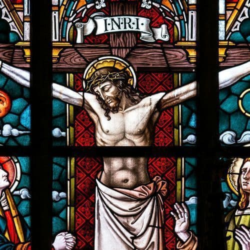 Jesus 'did not give up on us' – Pope Leo shares the joy of being loved by God even when we fail - The Catholic Leader