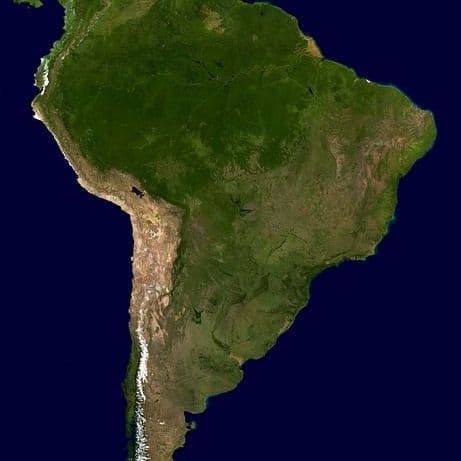 Police Destroy $1b of Cannabis on Upper Berbice River