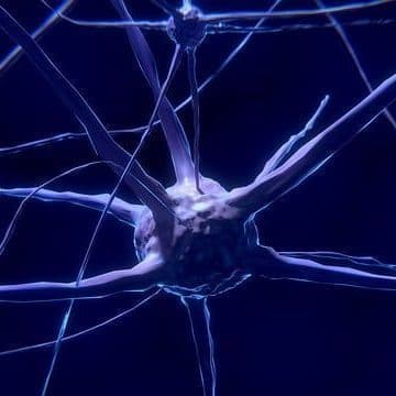 Brain Activity Changes in Epilepsy and Cognitive Impairment