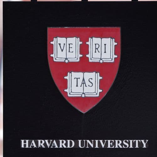 Top university hires drag queen ‘LaWhore Vagistan’ as visiting professor