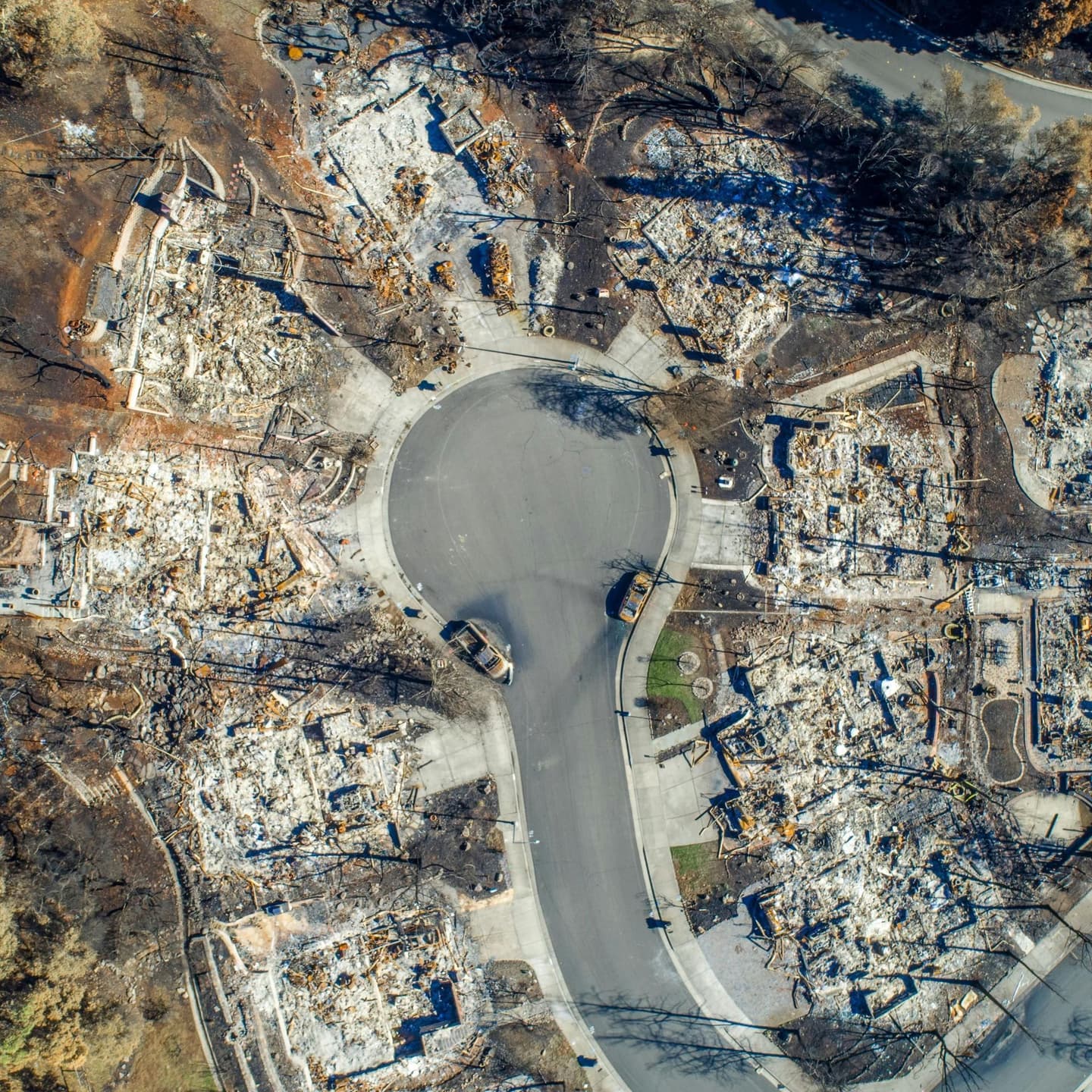 Food Continues to Contribute Strongly to the Climate Crisis