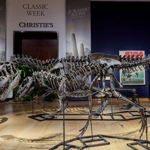 Unknown Species of Ichthyosaur Discovered in Germany
