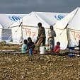 Army to Build Migrant Camps in Huge Immigration Crackdown
