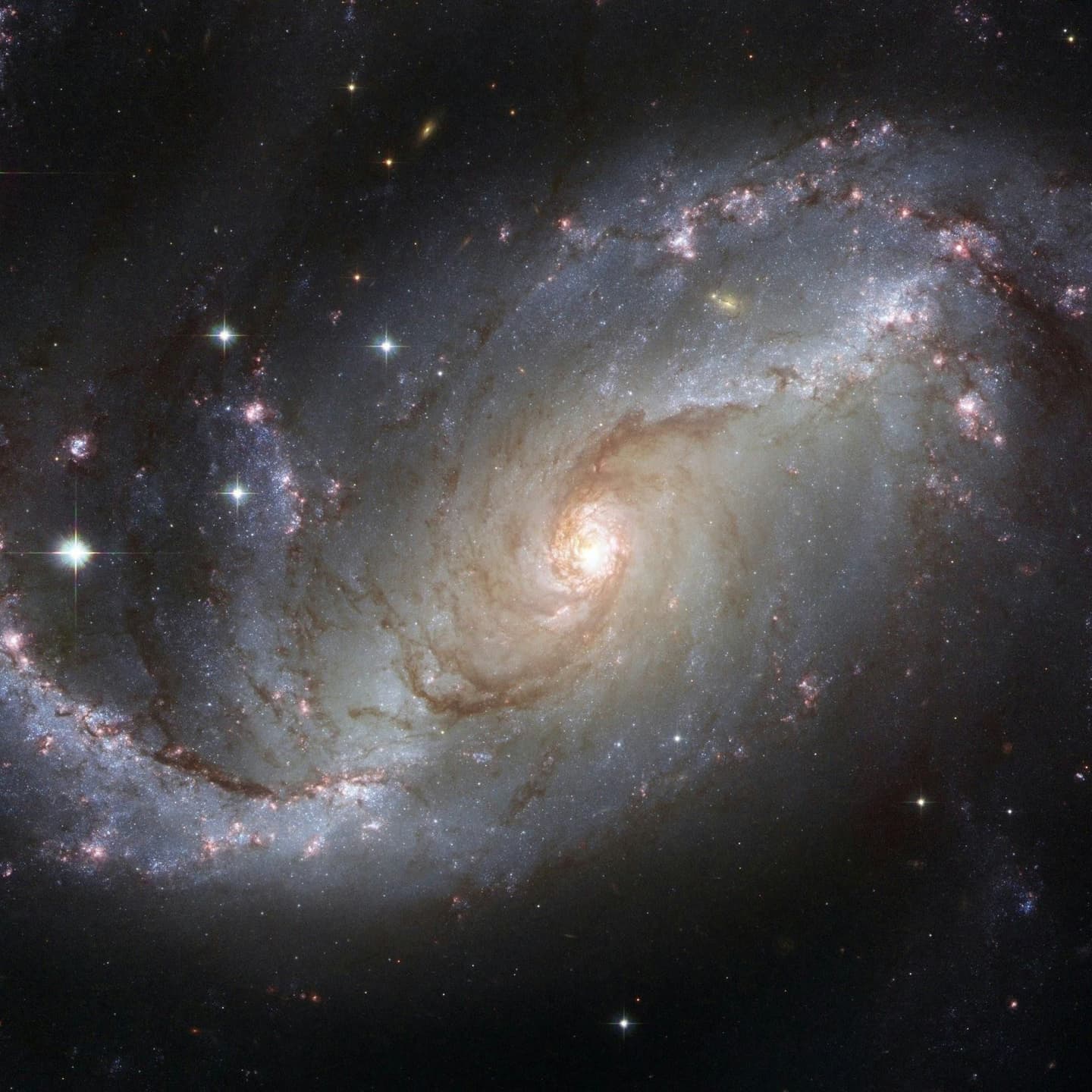 Dedicated Amateur Discovers Supernova in Remote Galaxy