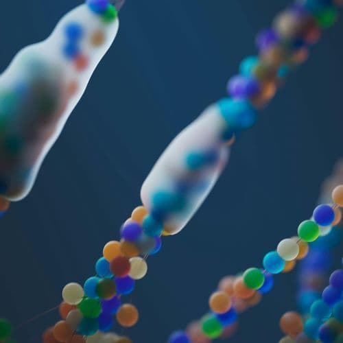 AI designs for dangerous DNA can slip past biosecurity measures, study shows