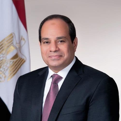 President Sisi: Boosting Partnership with Private Sector, Attracting FDIs to Achieve Self-Sufficiency in Strategic Goods - Egypt Independent
