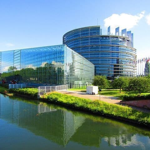 Takáč: Slovakia in the European Parliament and the European Commission defends the interests of its farmers