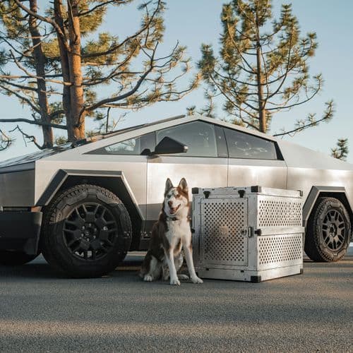 Elon Musk caught lying about Tesla Cybertruck beating Porsche 911 in a race