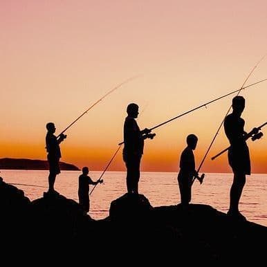 Fisherman Finds Human Remains in Flathead Lake