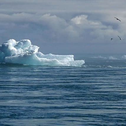 Transdisciplinary science: Early- and mid-careers shaping the future of science - International Science Council