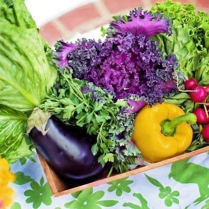 Iron-Rich Foods for People With Diabetes and Anemia