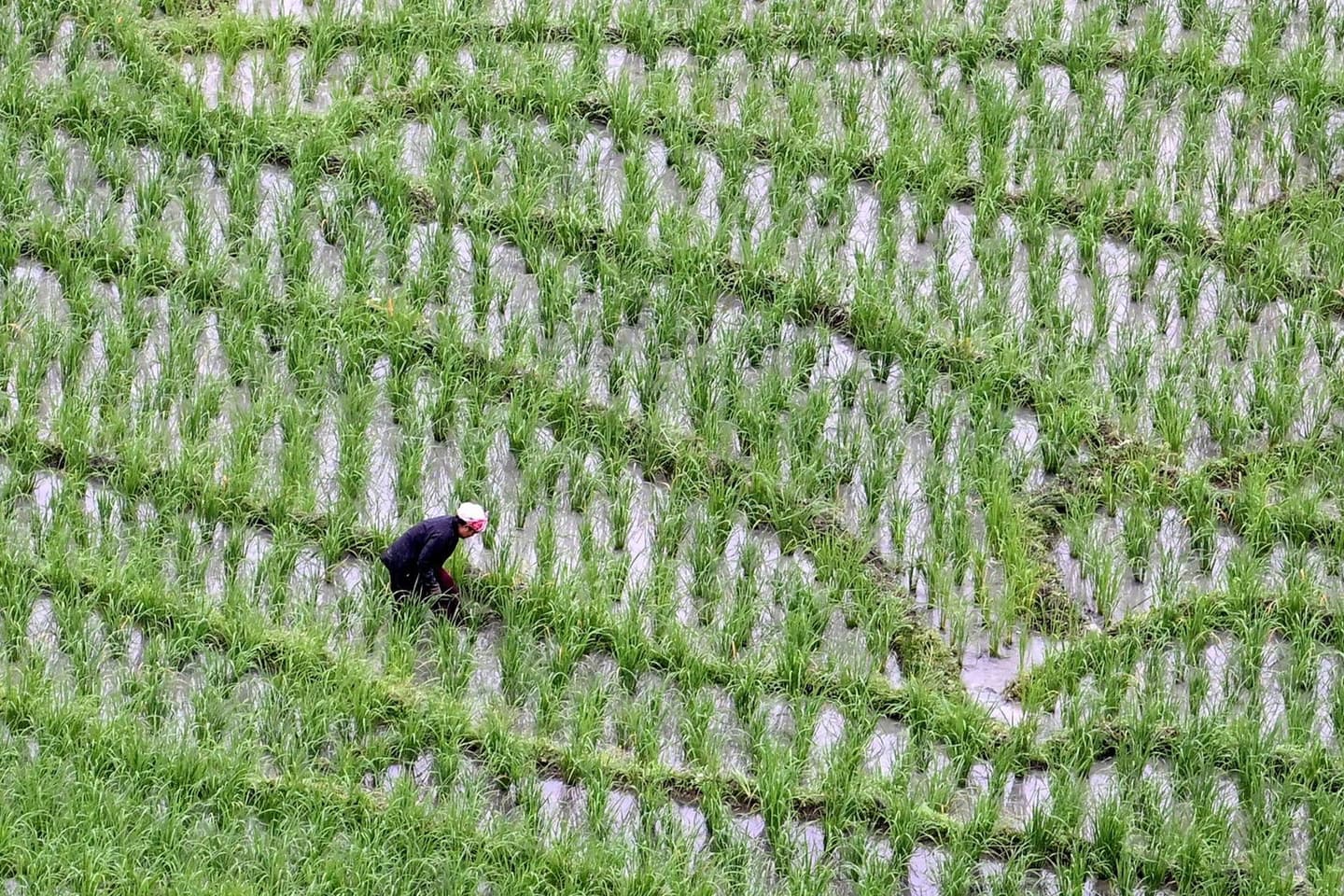 ARUN SANKAR/AFP via Getty Images/Getty