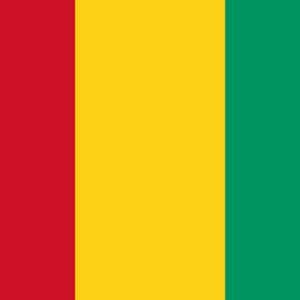 Fortuna Expands West African Presence, Forms Exploration Alliance in Guinea with DeSoto Resources - Fortuna Mining (NYSE:FSM)