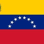 Venezuela. “as Workers, We Call a World Constituent to Take power.” Interview with Union Leader Wills Rangel - Latin American Summary