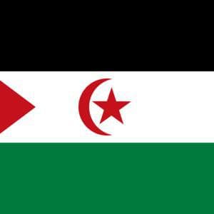 Western Sahara. Un Special Rapporteurs Denounce the Ongoing Persecution Suffered by Saharawi Student Hussein Amaadour, Delivered by Spain to Morocco - Latin American Summary