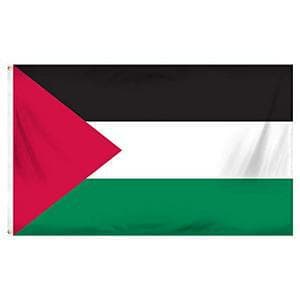 Flotilla for Gaza: a Few Thousand People Gathered in Paris, Tensions Place De La République
