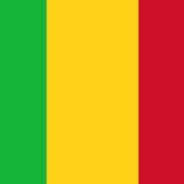 Mali Detains Two Dozen Soldiers in Foiled Coup Plot Against Junta - Afric Info