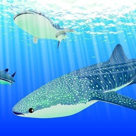 Saving the Gentle Giant: How India’s Fishers Are Leading a Whale Shark Revival