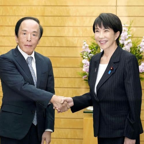 Fake website imitating Japanese PM's office contains Russian instructions