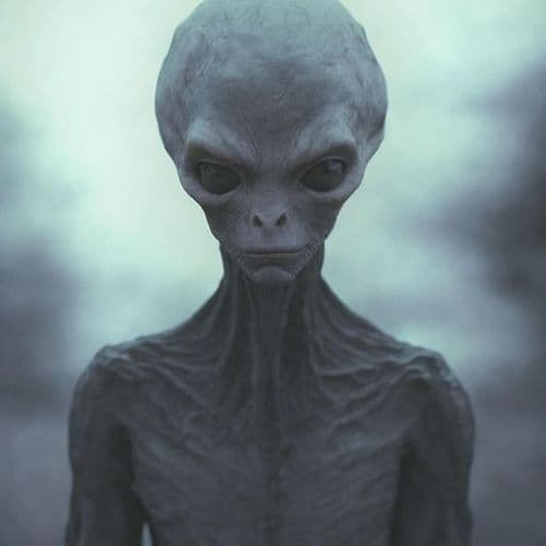 Driver Claims He ‘Teleported’ Into Stolen BMW Before Volusia Crash, Deputies Say