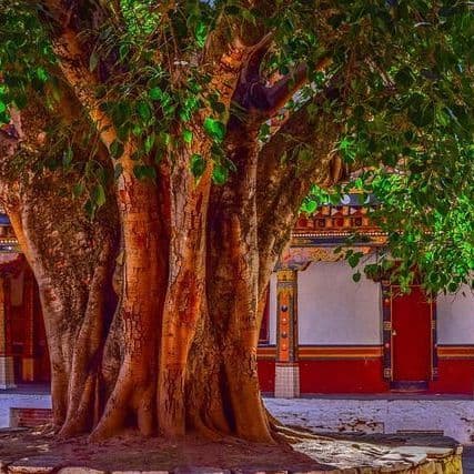 Pakistan, Afghanistan exchange heavy fire along border, officials say