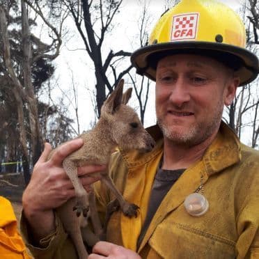 From the Editor's Desk | The Murray Valley Standard