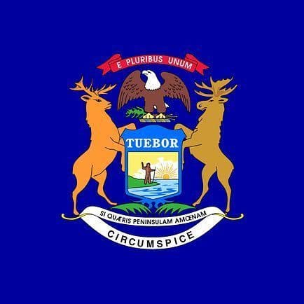 Michigan Bringing Back Red, White and Blue License Plates for 2026