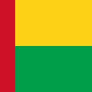 “It Is Due to the Credibility and Survival of the Eceea in This Case of Guinea-Bissau”